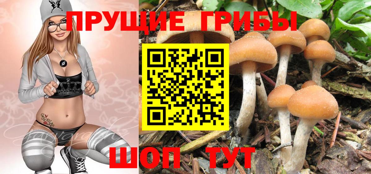 Кашира  Псилоцибиновые грибы Magic Shrooms  Вход с VPN  Галлюциногенные грибы Psilocybine cubensis 